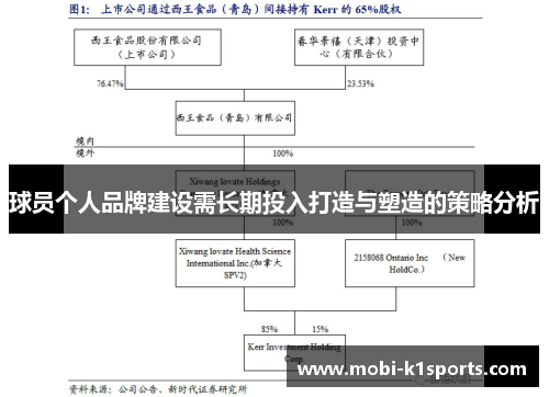 球员个人品牌建设需长期投入打造与塑造的策略分析