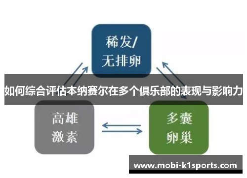 如何综合评估本纳赛尔在多个俱乐部的表现与影响力
