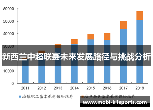 新西兰中超联赛未来发展路径与挑战分析