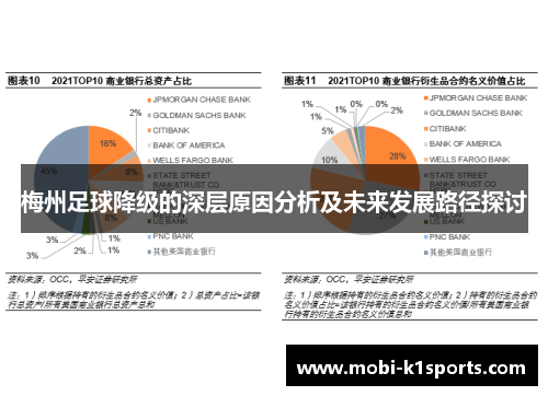 梅州足球降级的深层原因分析及未来发展路径探讨