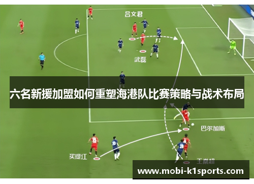 六名新援加盟如何重塑海港队比赛策略与战术布局