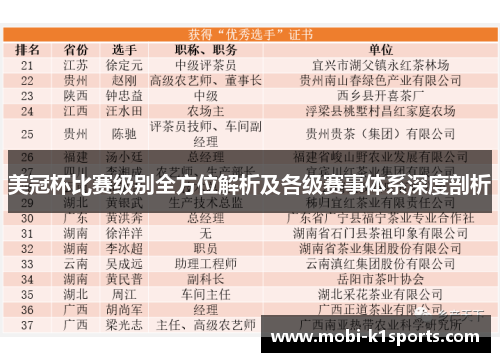 美冠杯比赛级别全方位解析及各级赛事体系深度剖析