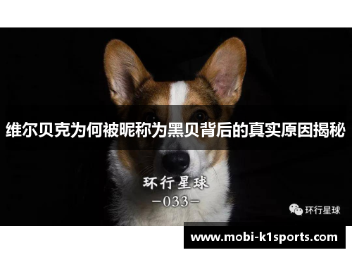 维尔贝克为何被昵称为黑贝背后的真实原因揭秘